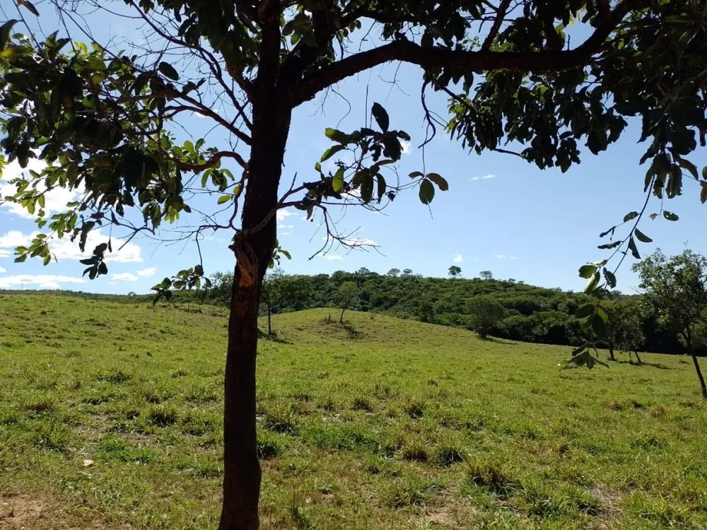 Fazenda, 1118 hectares - Foto 2