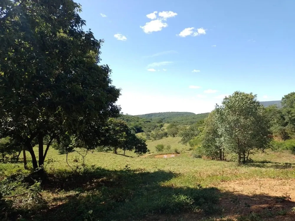 Fazenda, 1118 hectares - Foto 9