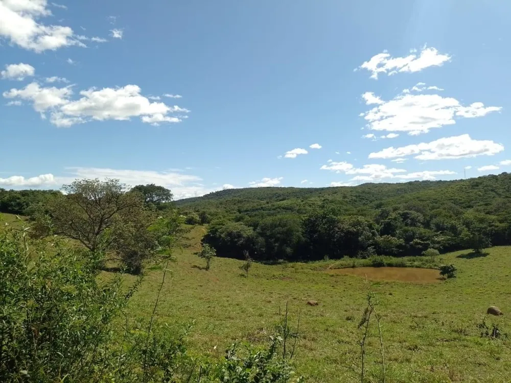 Fazenda, 1118 hectares - Foto 4