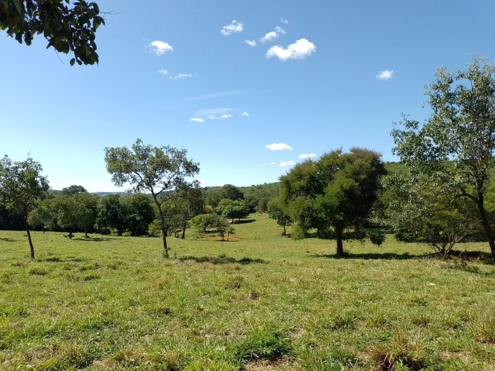 Fazenda, 1118 hectares - Foto 8