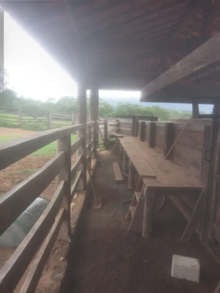 Fazenda, 1118 hectares - Foto 20