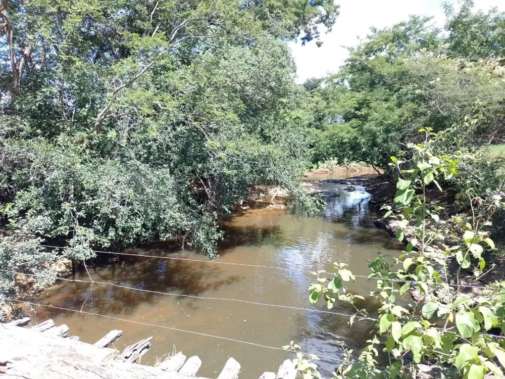 Fazenda, 1118 hectares - Foto 7