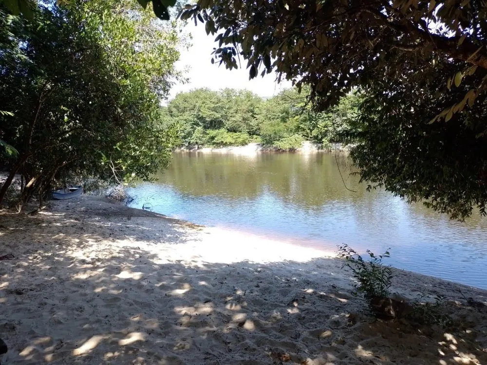 Fazenda, 1118 hectares - Foto 1