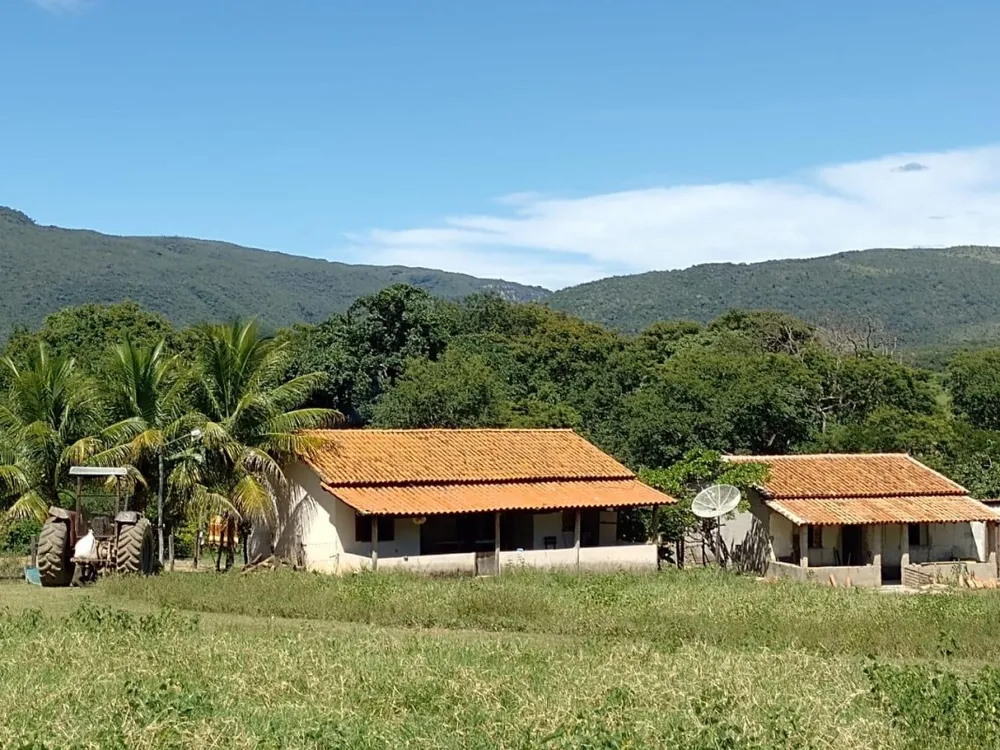 Fazenda, 1118 hectares - Foto 3