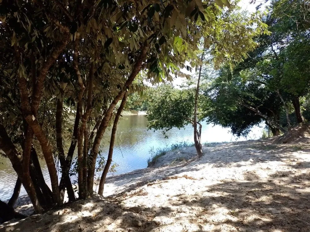 Fazenda, 1118 hectares - Foto 2