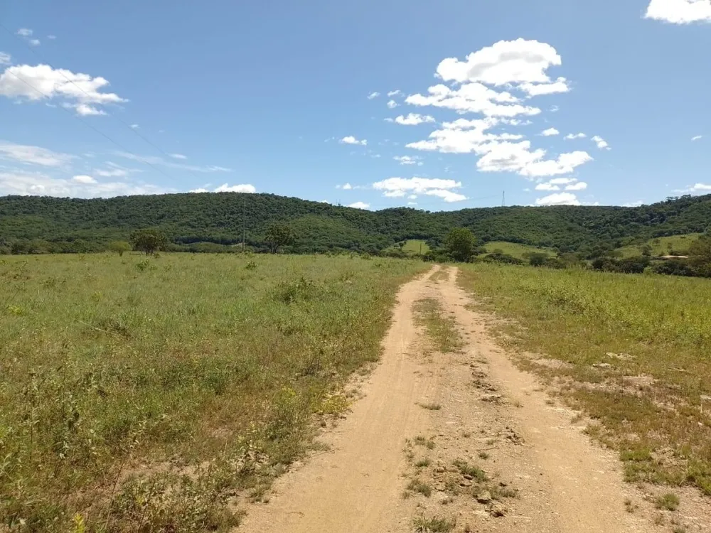 Fazenda, 1118 hectares - Foto 12