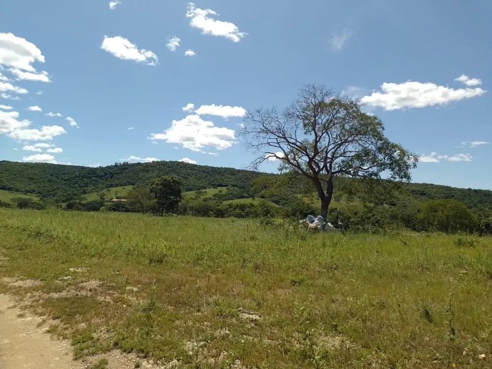 Fazenda, 1118 hectares - Foto 11