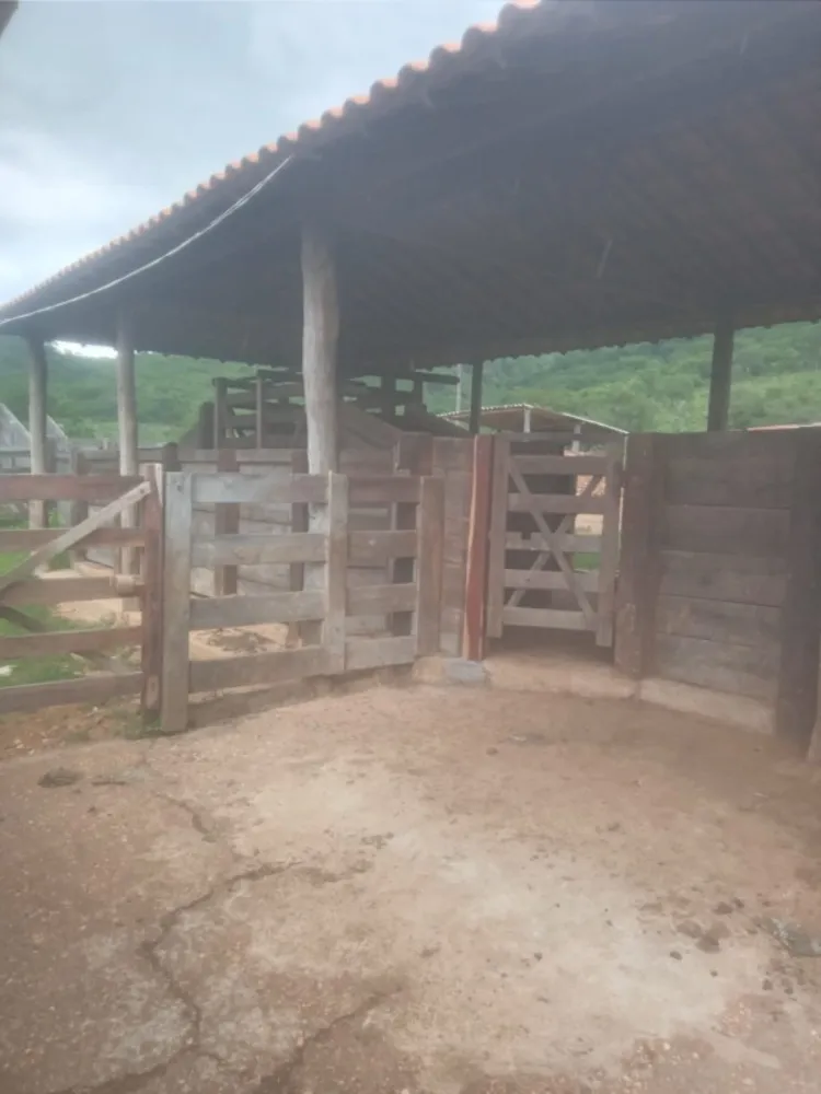 Fazenda, 1118 hectares - Foto 19