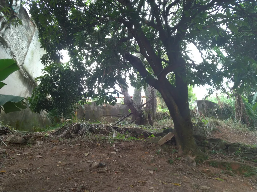 Terreno, 336 m² - Foto 4