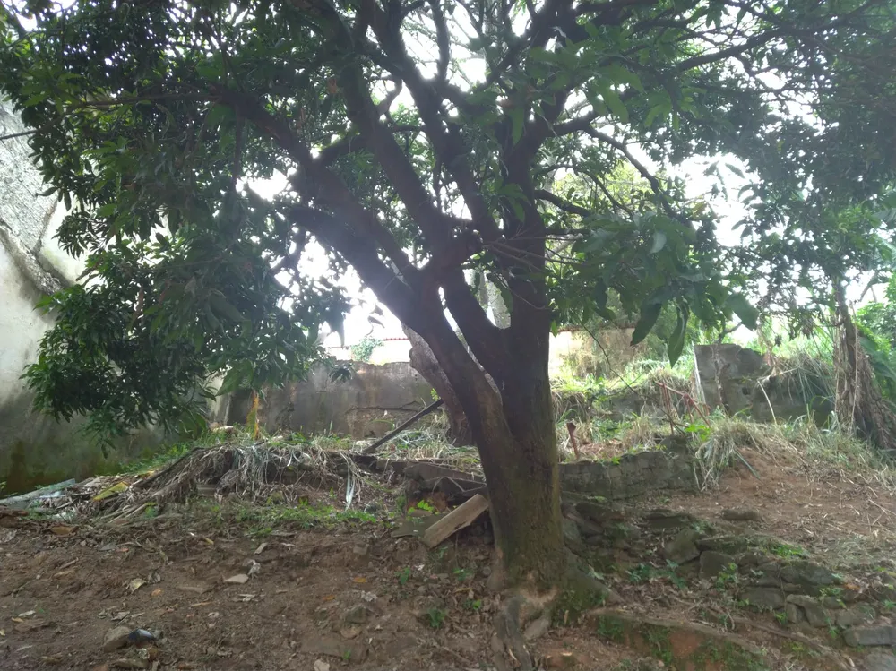 Terreno, 336 m² - Foto 6
