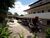 Sítio, 4 quartos, 3600 m² - Foto 1