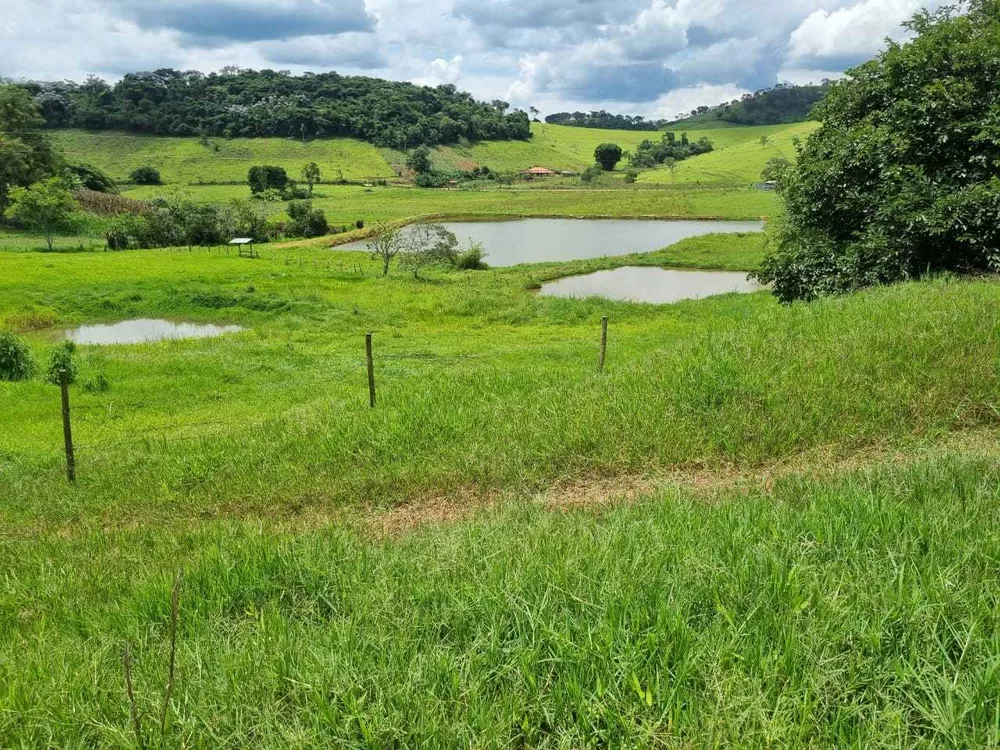 Chácara à venda com 3 quartos, 338800m² - Foto 12