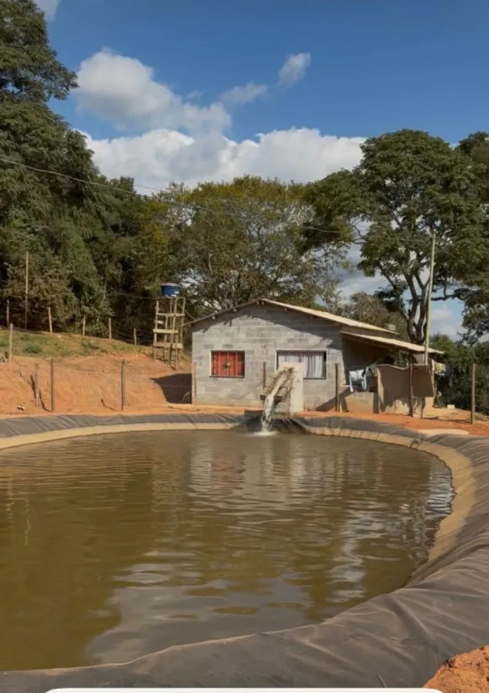 Fazenda, 65 hectares - Foto 6