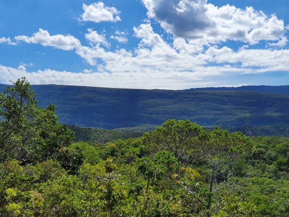 Terreno à venda, 20957m² - Foto 12