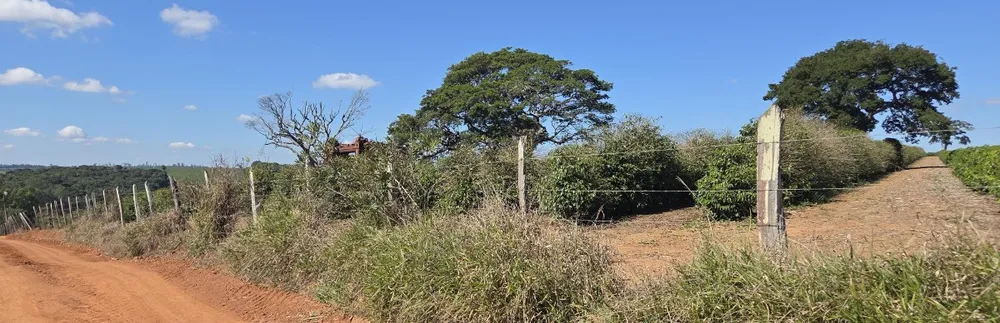 Sítio, 1 quarto, 24 hectares - Foto 2