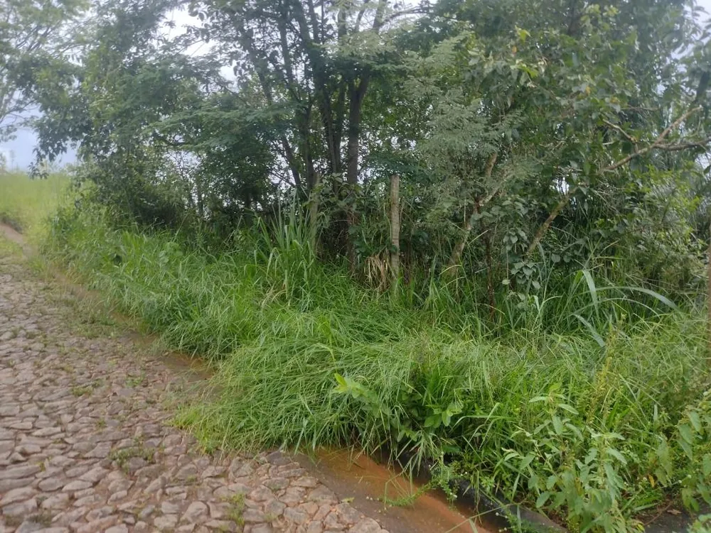 Terreno, 363 m² - Foto 8