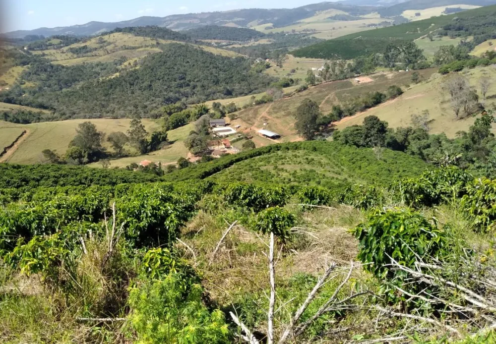 Fazenda, 102 hectares - Foto 6