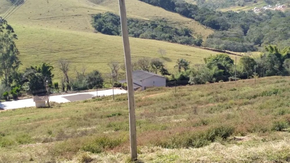 Fazenda, 102 hectares - Foto 7