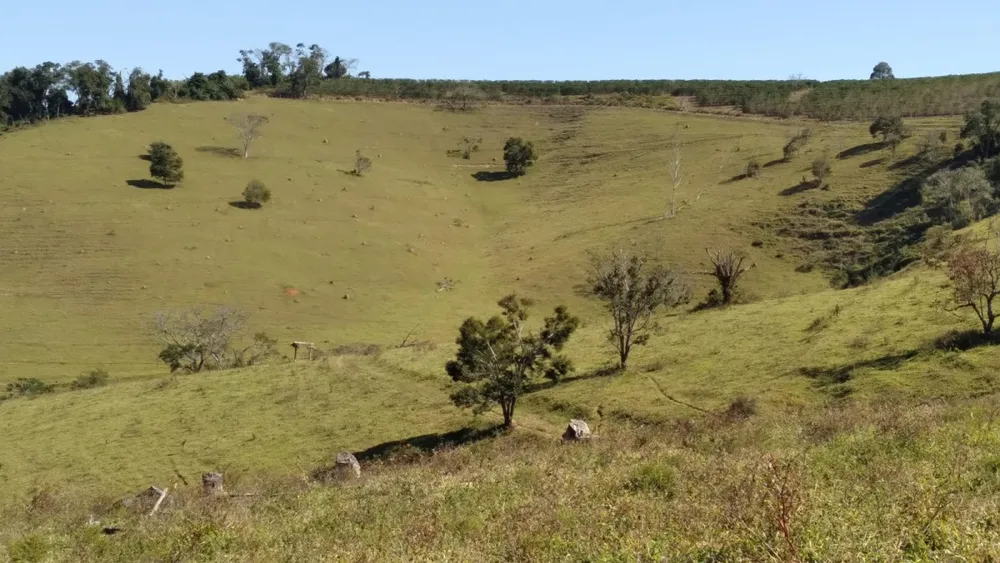Fazenda, 102 hectares - Foto 3