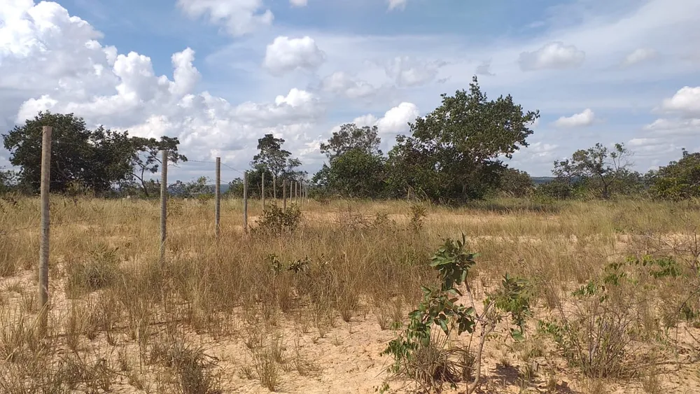 Terreno, 3 hectares - Foto 4