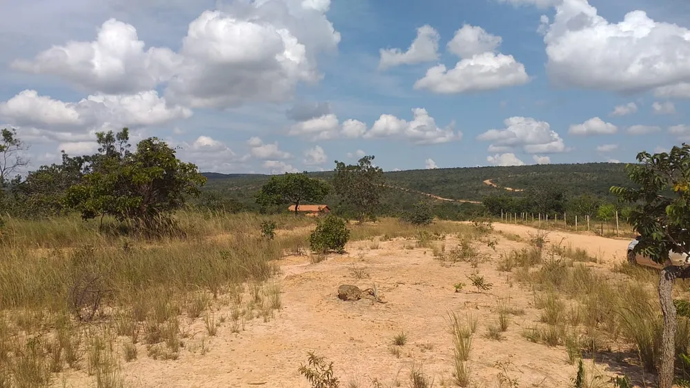 Terreno, 3 hectares - Foto 8