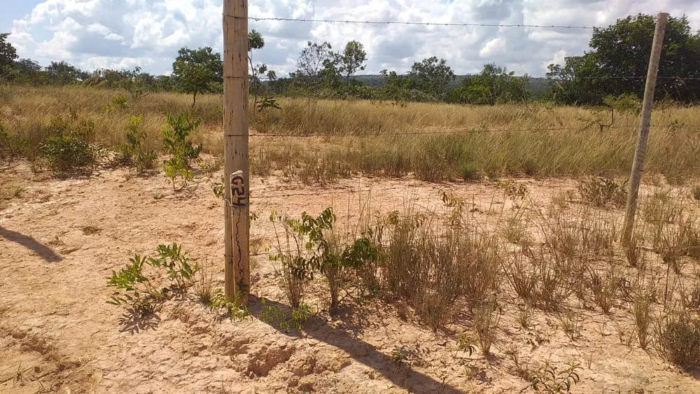 Terreno, 3 hectares - Foto 7