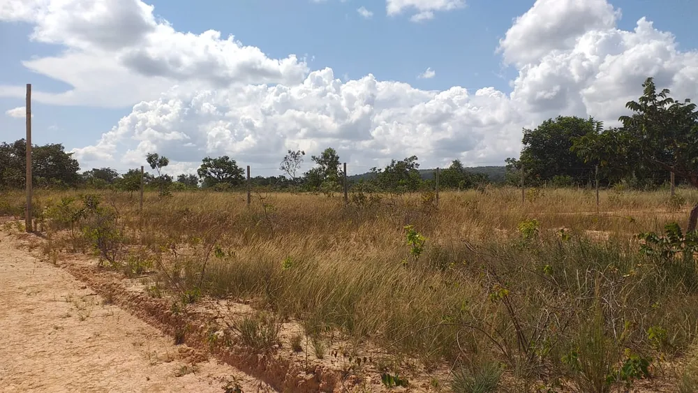 Terreno, 3 hectares - Foto 1