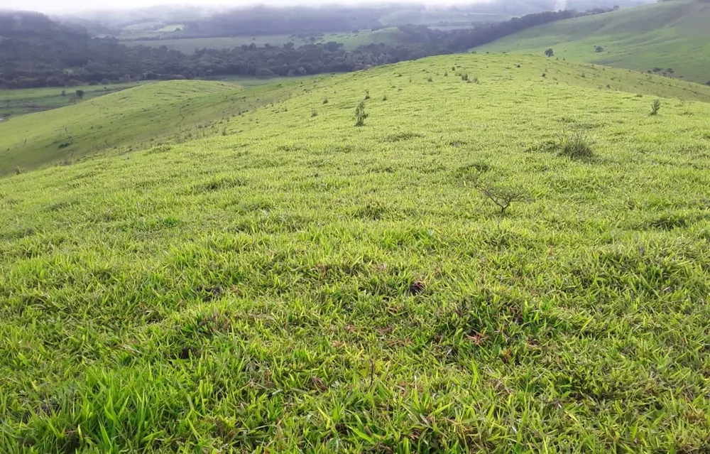Fazenda, 177 hectares - Foto 20