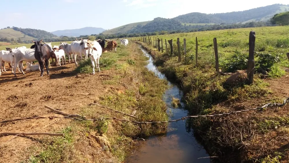 Fazenda, 177 hectares - Foto 11