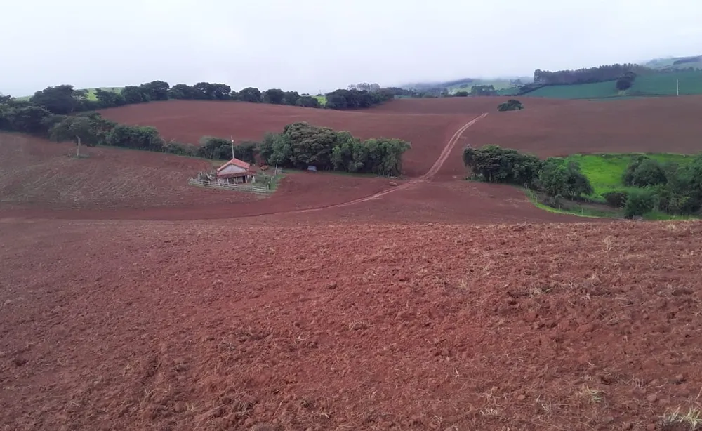 Fazenda, 177 hectares - Foto 21