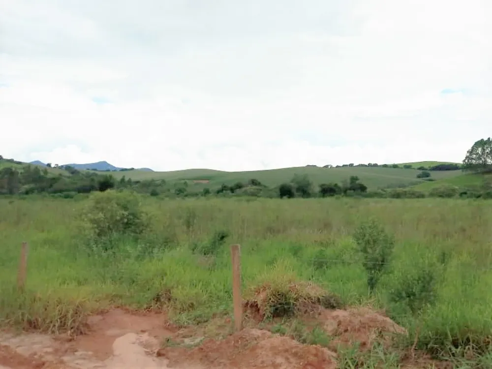 Fazenda, 177 hectares - Foto 7