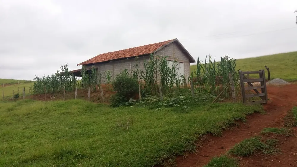Fazenda, 177 hectares - Foto 15