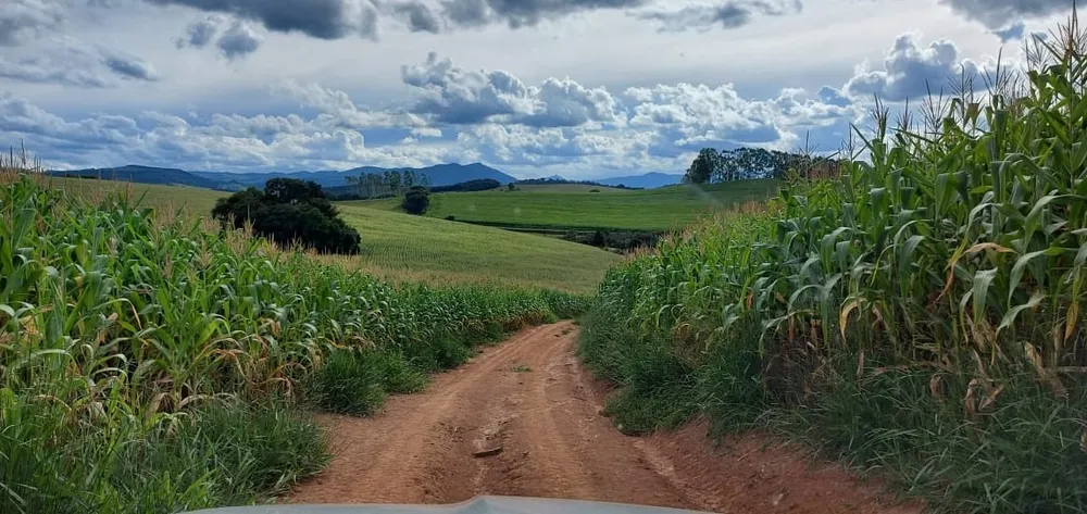 Fazenda, 177 hectares - Foto 4