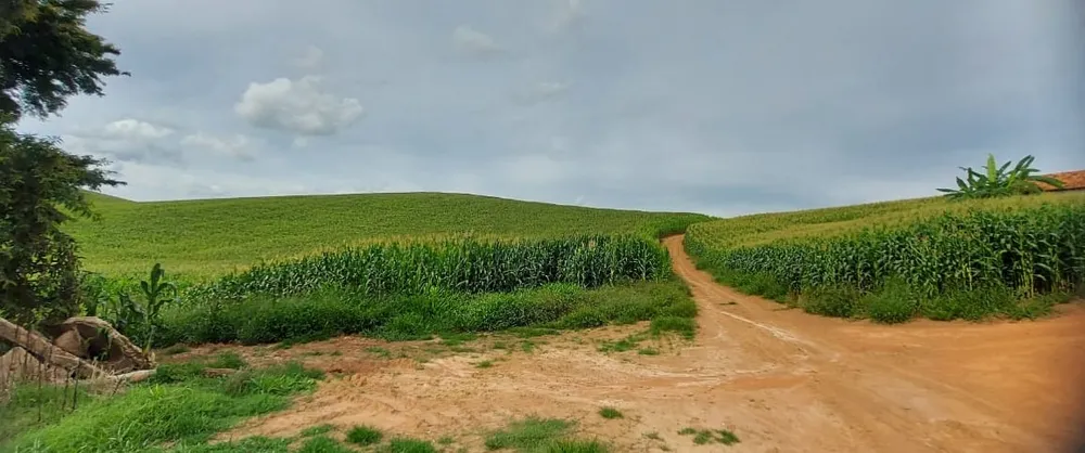 Fazenda, 177 hectares - Foto 7