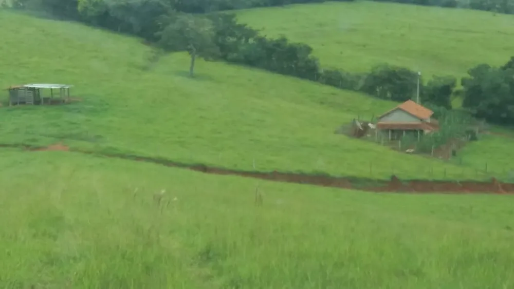 Fazenda, 177 hectares - Foto 19
