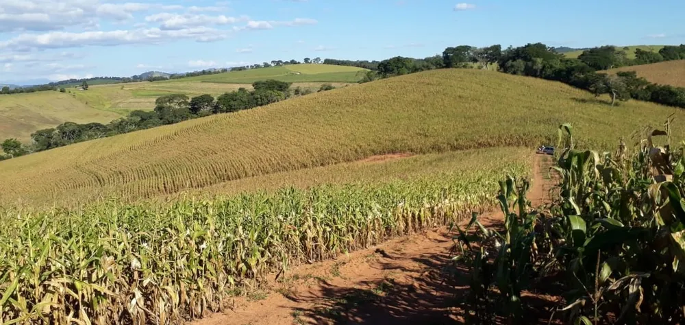 Fazenda, 177 hectares - Foto 10
