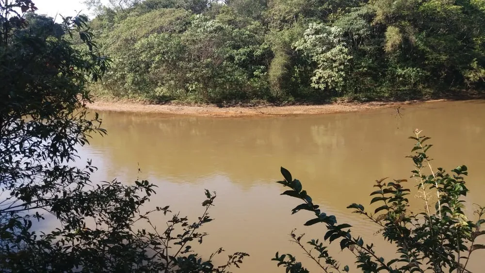 Fazenda, 177 hectares - Foto 12