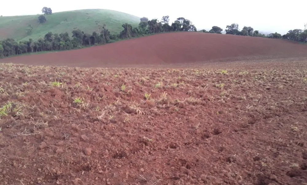 Fazenda, 177 hectares - Foto 22