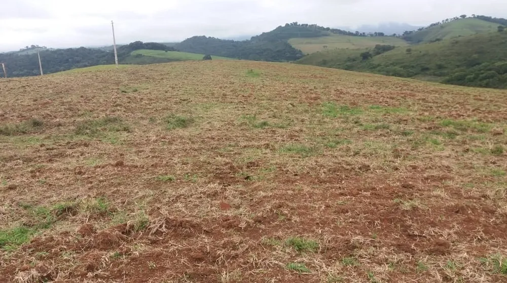 Fazenda, 177 hectares - Foto 6