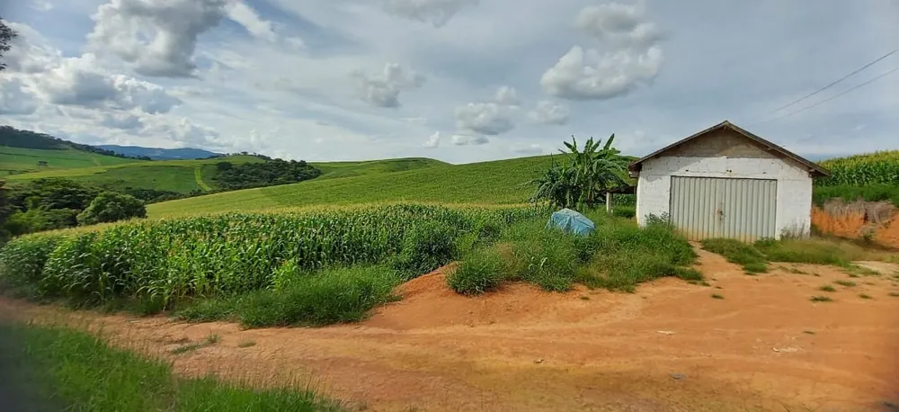 Fazenda, 177 hectares - Foto 17