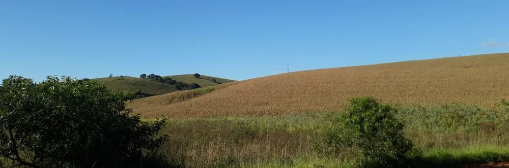 Fazenda, 177 hectares - Foto 14
