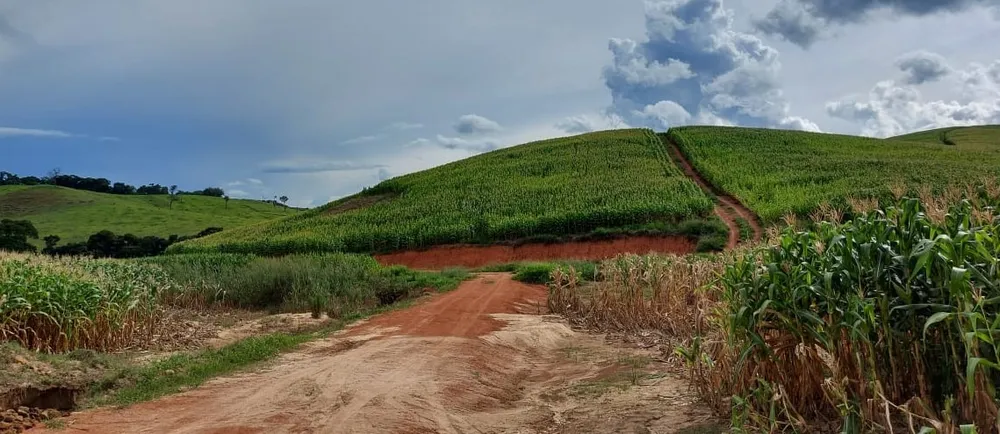 Fazenda, 177 hectares - Foto 8