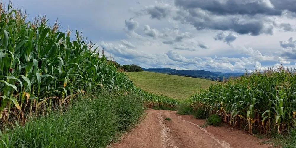 Fazenda, 177 hectares - Foto 2
