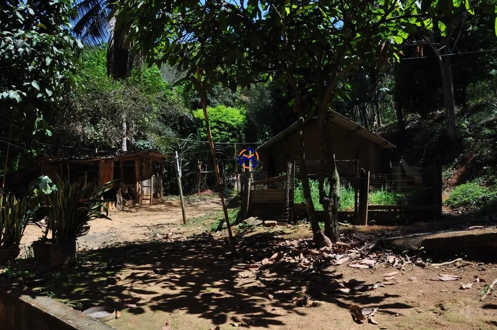 Terreno, 10000 m² - Foto 10