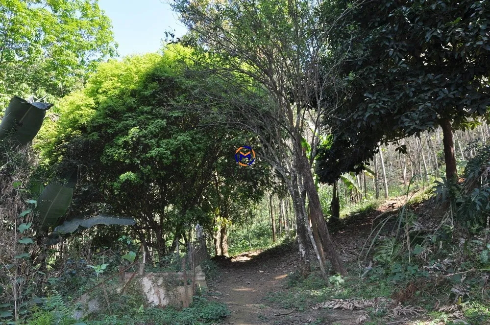 Terreno, 10000 m² - Foto 6