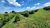 Fazenda, 66 hectares - Foto 3