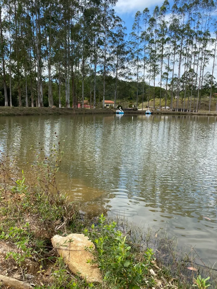 Fazenda, 2 hectares - Foto 12