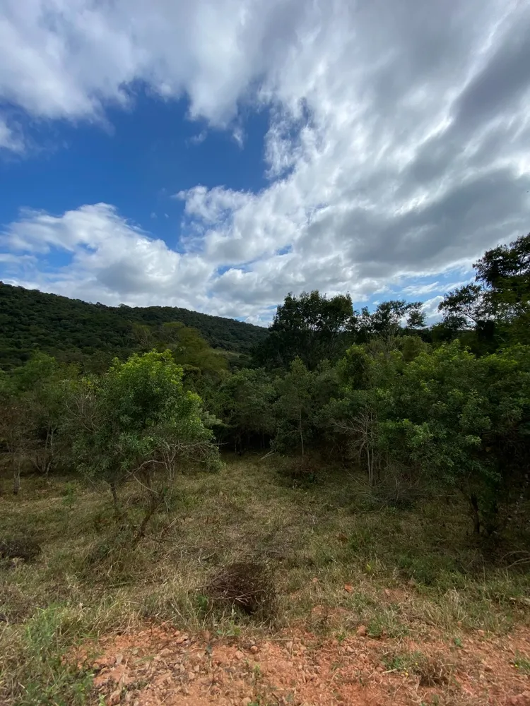 Fazenda, 2 hectares - Foto 6