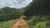 Fazenda, 232 hectares - Foto 3