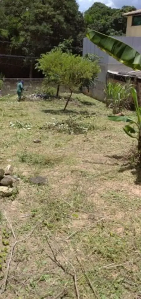Terreno, 360 m² - Foto 6